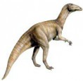 /album/foto%c4%9fraflar%3a-anasayfa/anatosaurus-jpg1/